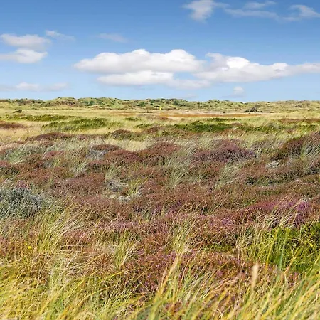 Semesterbostad Bv343-blavand-sydslugen-22